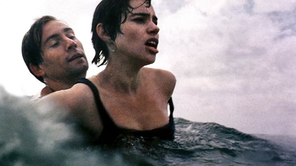 シメールの画像