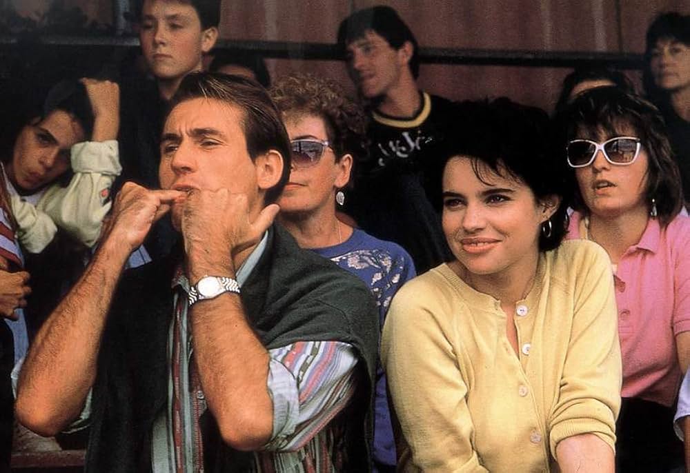 シメールの画像