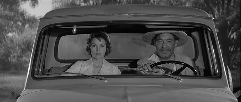 恐怖のワニ人間の画像