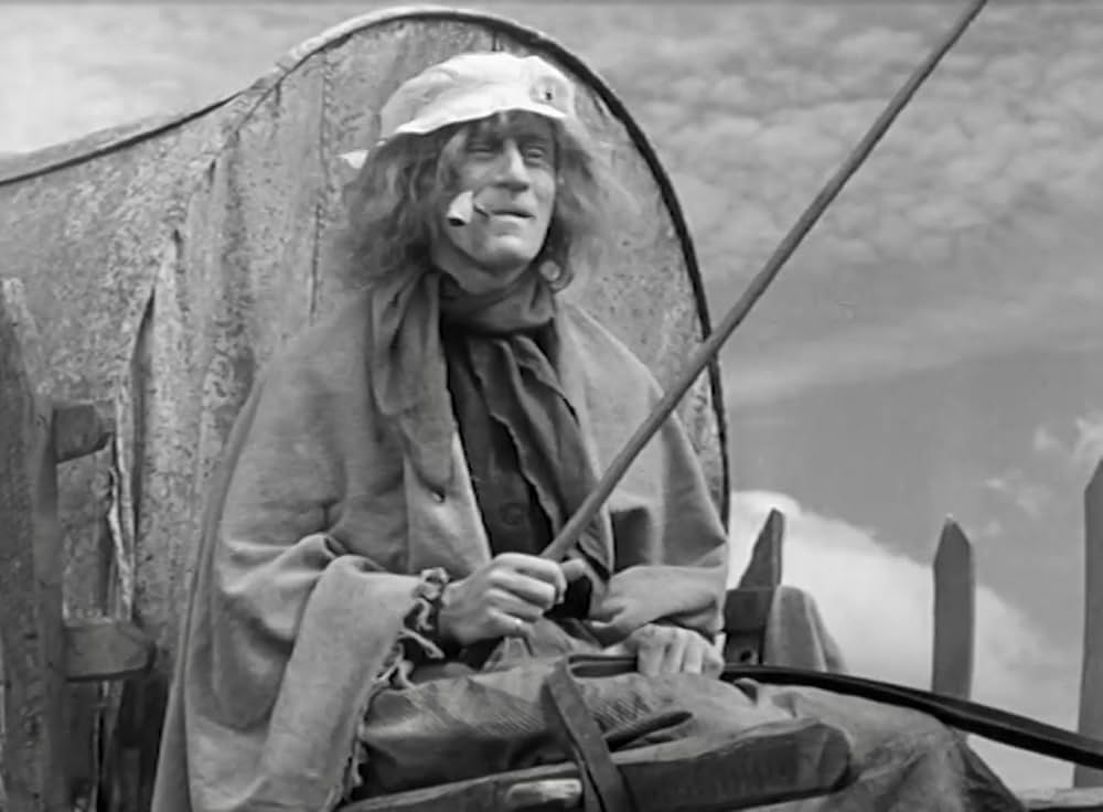 紅はこべの画像