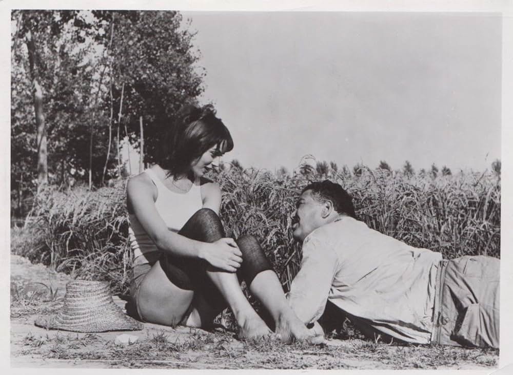 水田地帯の画像