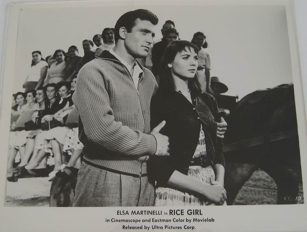 水田地帯の画像