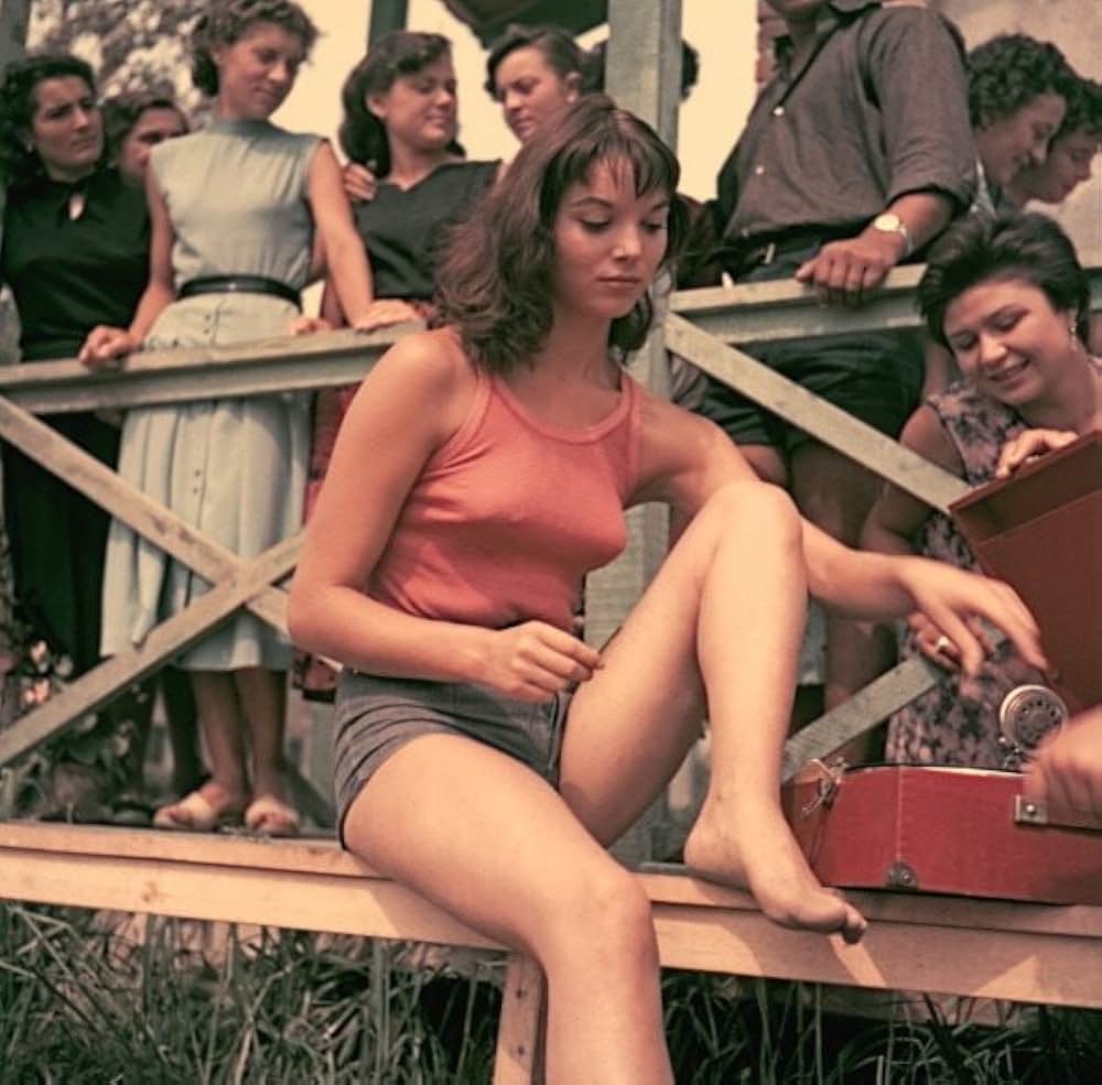 水田地帯の画像