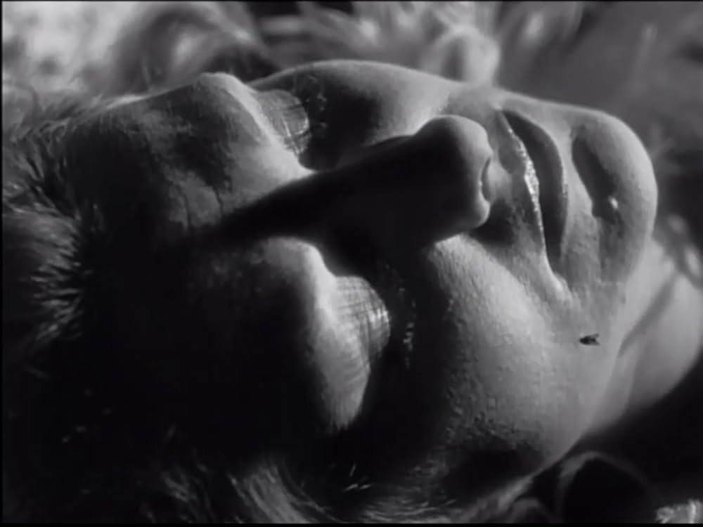 暁の死線／タイムリミット25時の画像