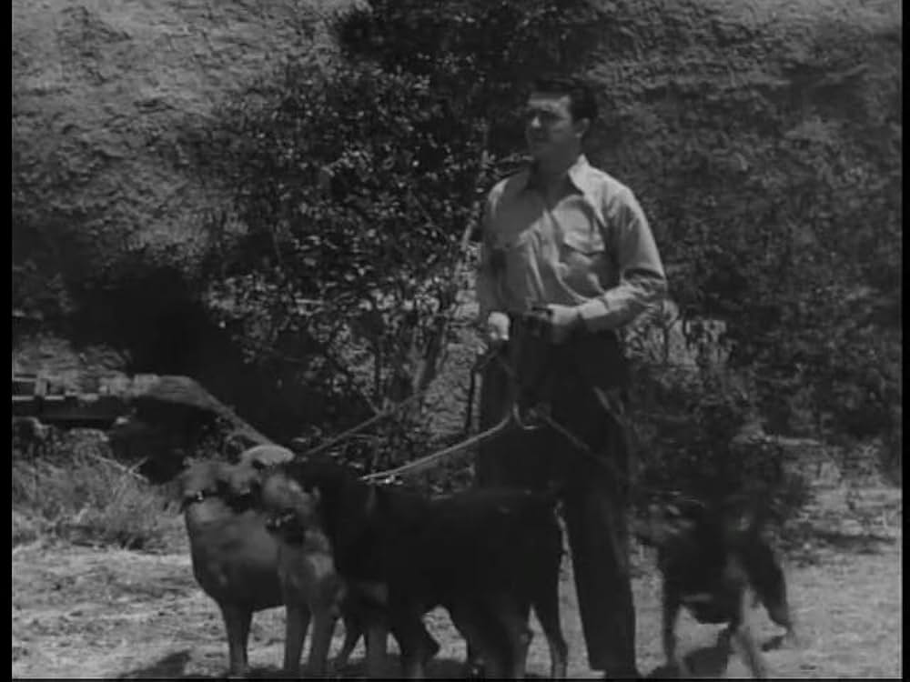 スーパーマンと地底人間の画像