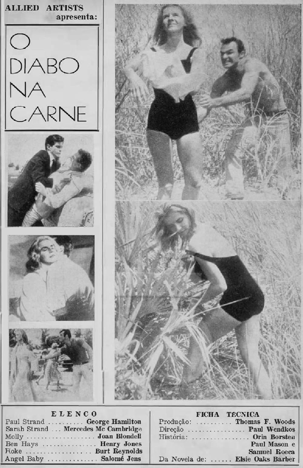 奇蹟の天使の画像