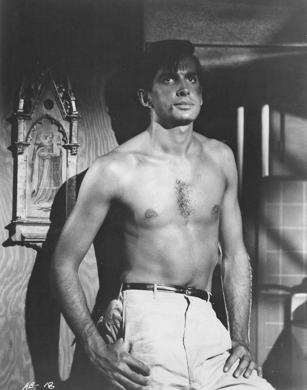 奇蹟の天使の画像