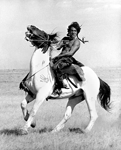 小さな巨人の画像