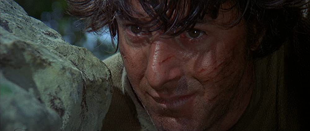 小さな巨人の画像