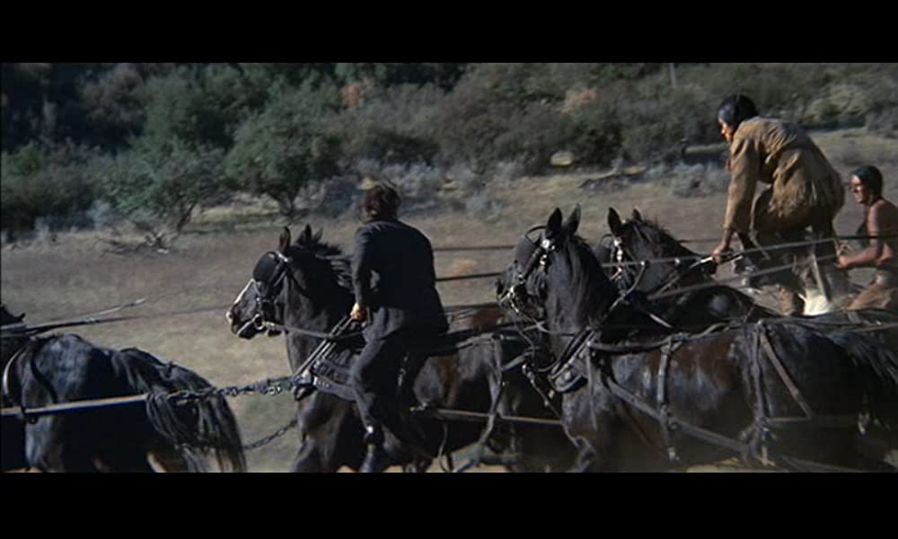 小さな巨人の画像