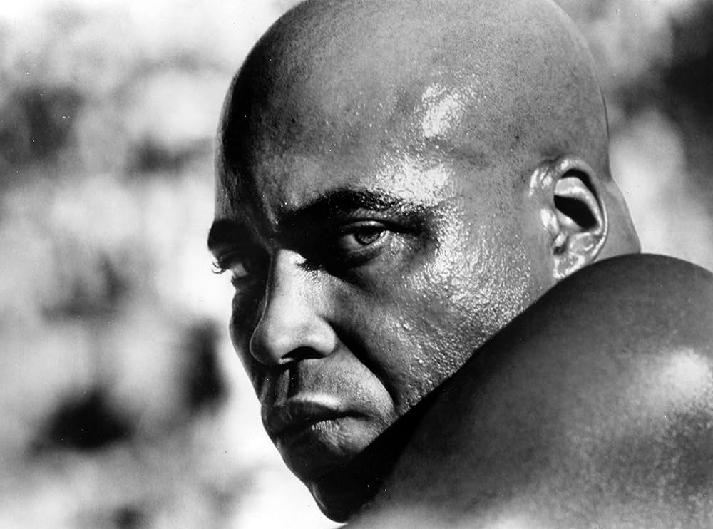 ボクサーの画像