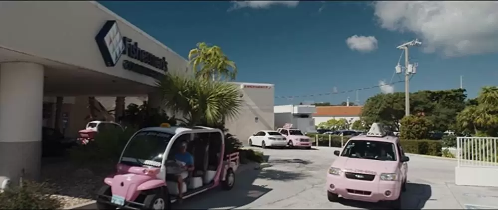 ロング，ロングバケーションの画像