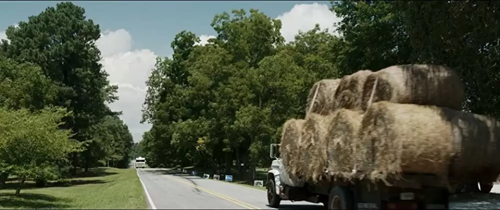 ロング，ロングバケーションの画像