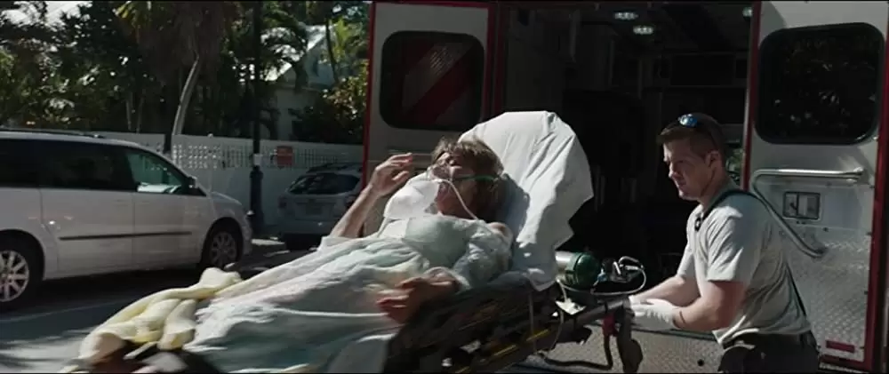 ロング，ロングバケーションの画像