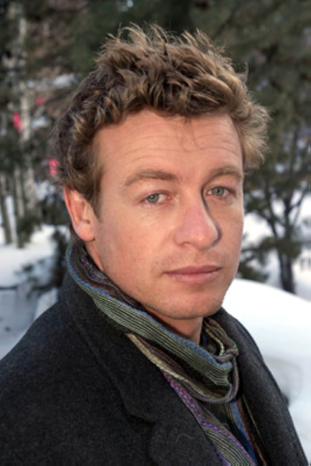 サイモン・ベイカー 結婚の条件の画像