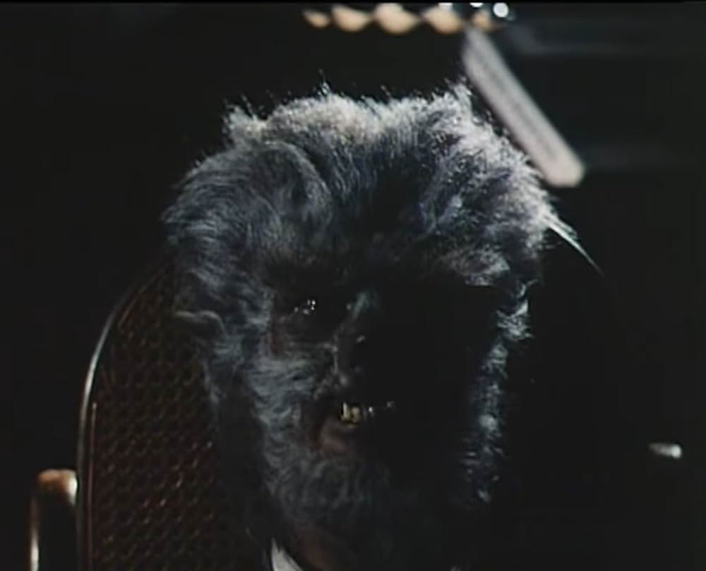 ワシントンの狼男の画像