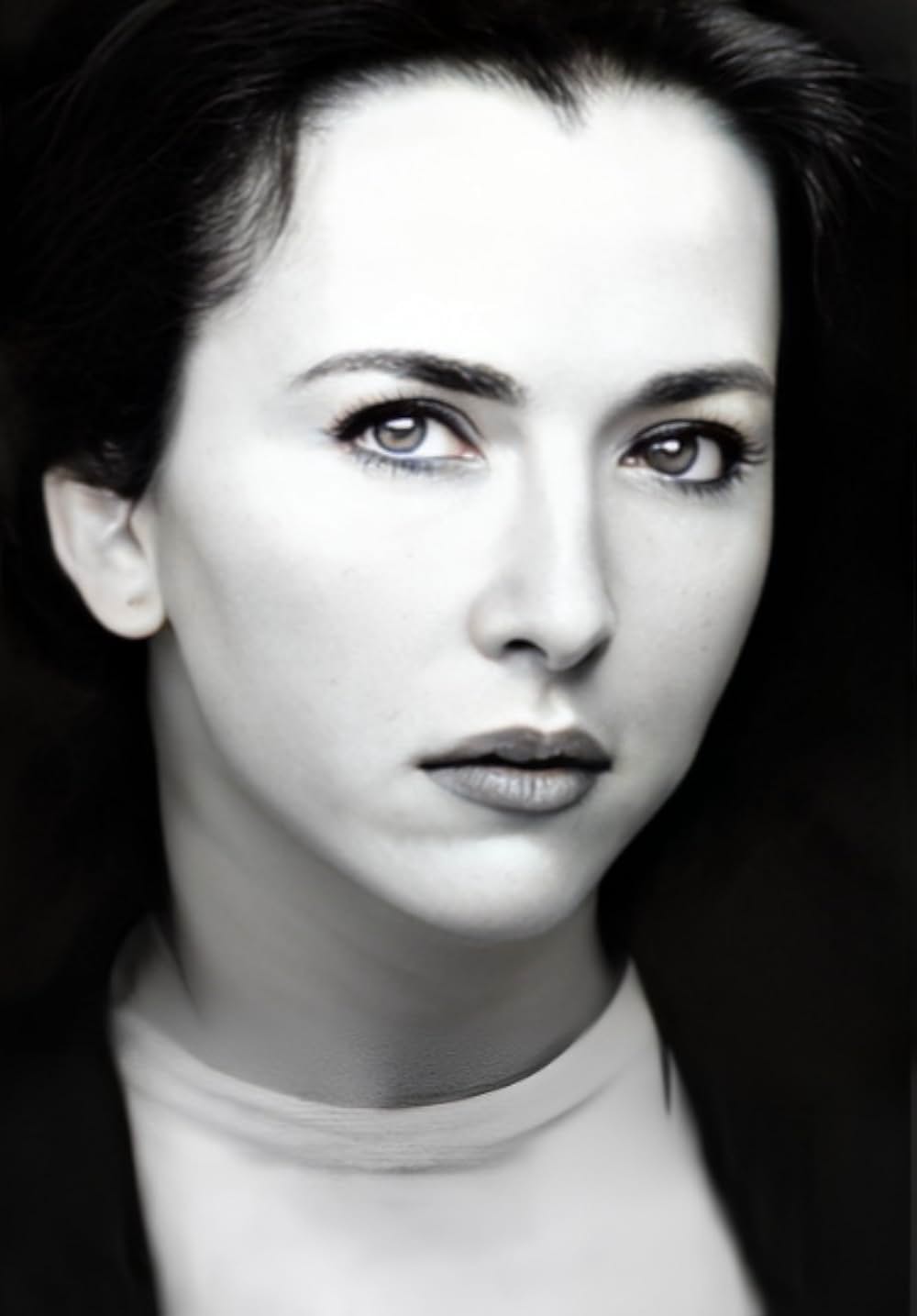 ゴールド・パピヨンの画像