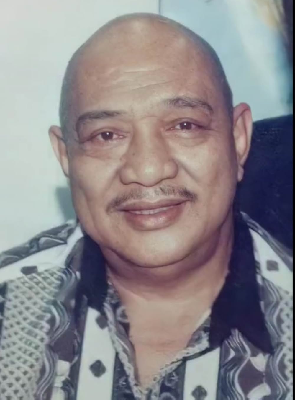 ゴールド・パピヨンの画像