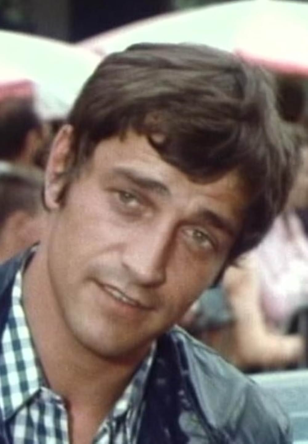 ゴールド・パピヨンの画像