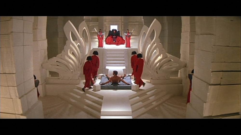 ゴールド・パピヨンの画像