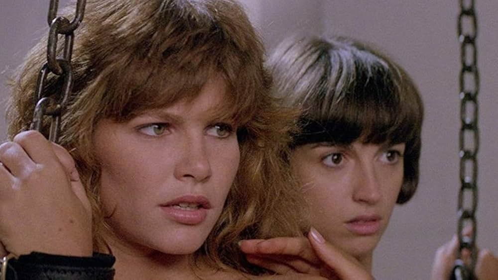 ゴールド・パピヨンの画像