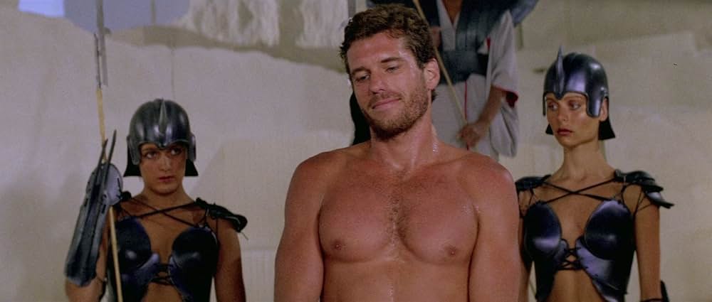 ゴールド・パピヨンの画像