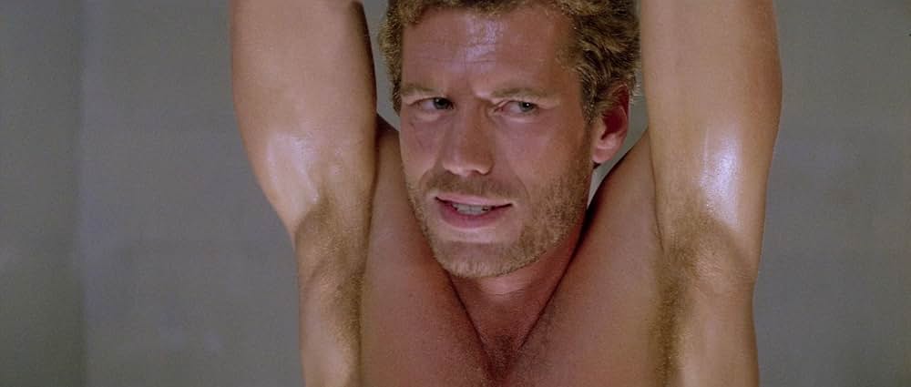 ゴールド・パピヨンの画像