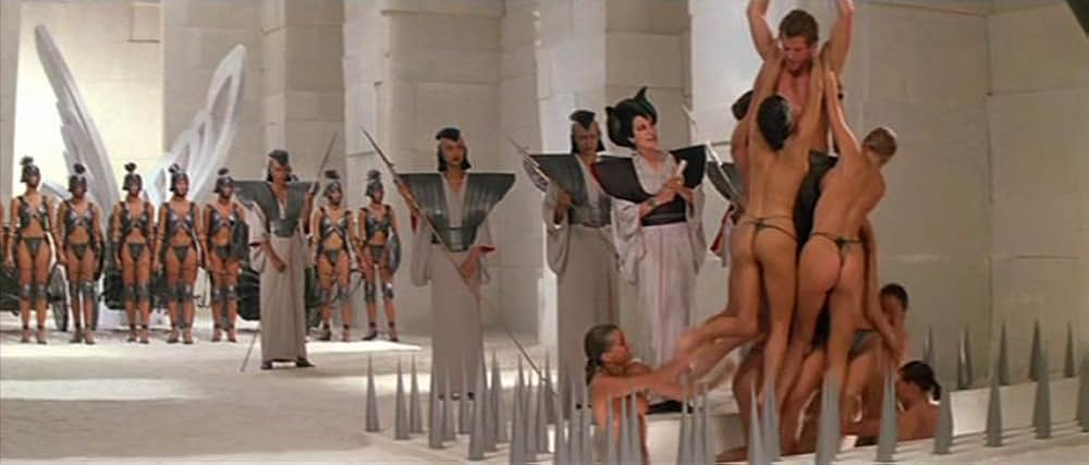 ゴールド・パピヨンの画像