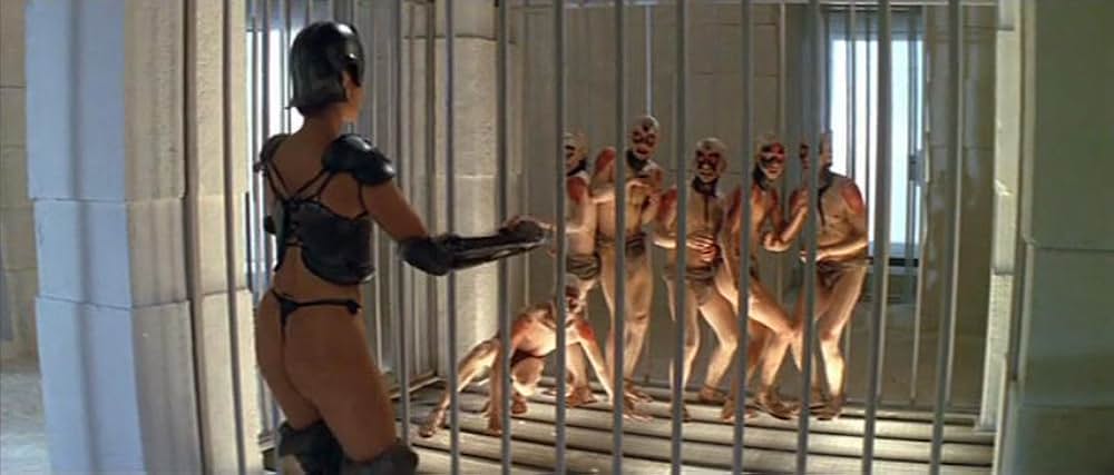 ゴールド・パピヨンの画像