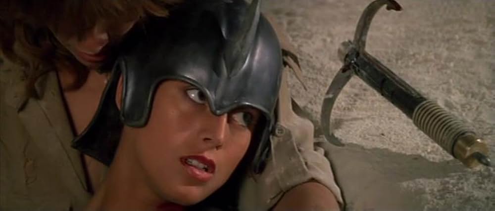 ゴールド・パピヨンの画像