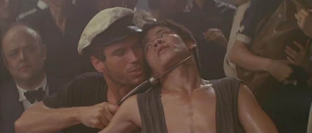 ゴールド・パピヨンの画像