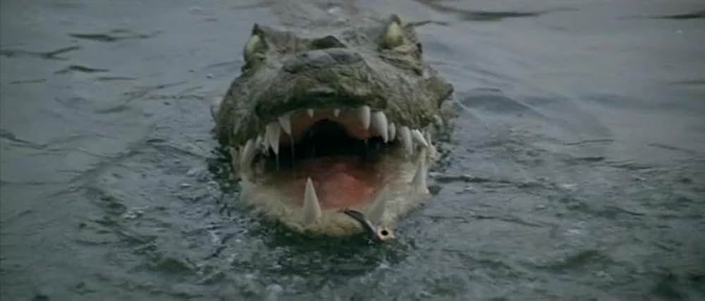 ゴールド・パピヨンの画像