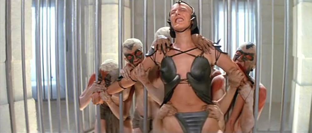 ゴールド・パピヨンの画像