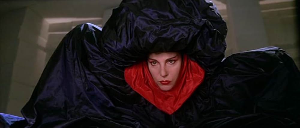 ゴールド・パピヨンの画像