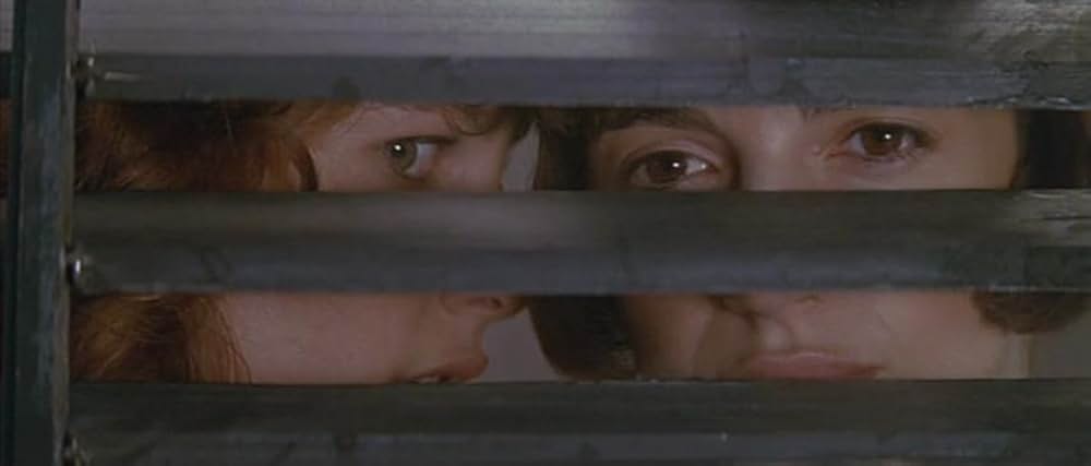 ゴールド・パピヨンの画像