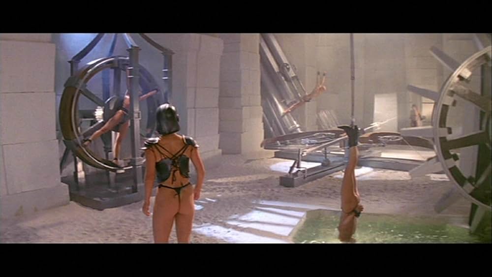 ゴールド・パピヨンの画像