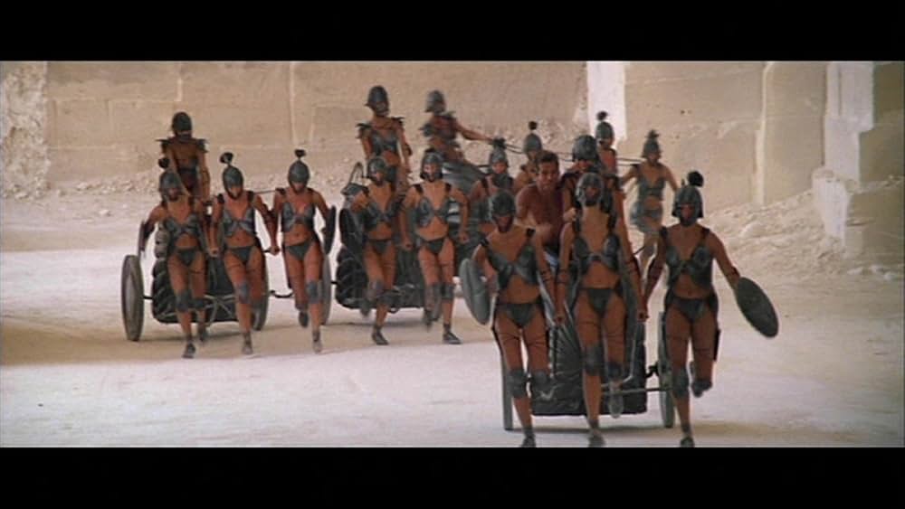 ゴールド・パピヨンの画像