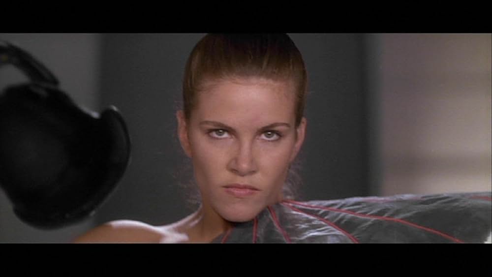 ゴールド・パピヨンの画像