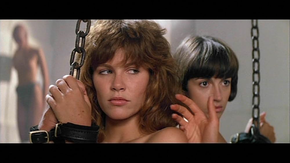 ゴールド・パピヨンの画像