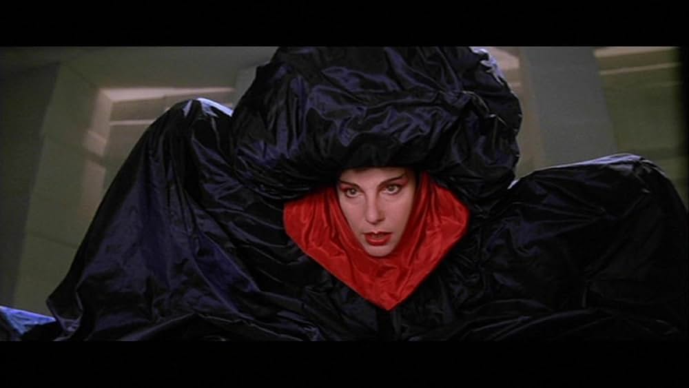 ゴールド・パピヨンの画像