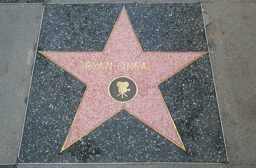 ある愛の詩の画像