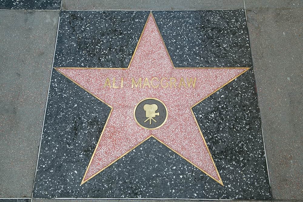 ある愛の詩の画像