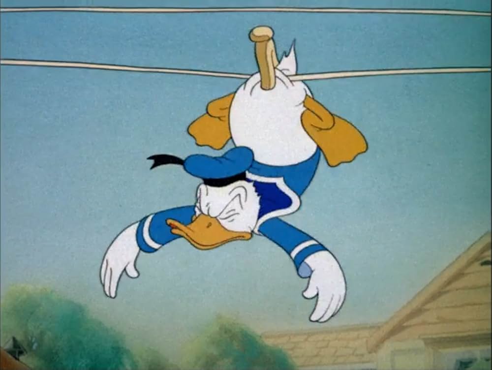 ドナルドの洗濯機の画像