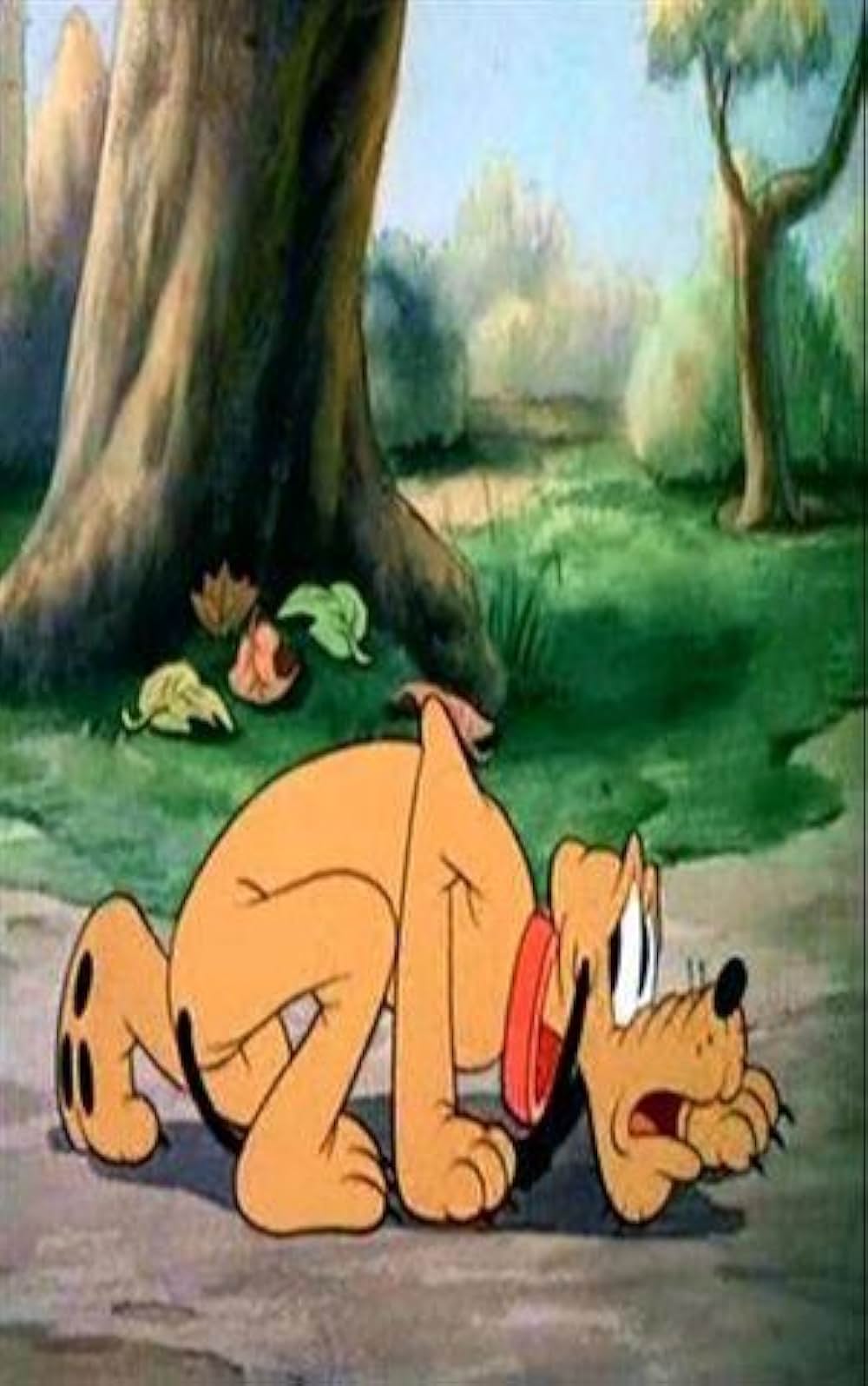 ドナルドの洗濯機の画像