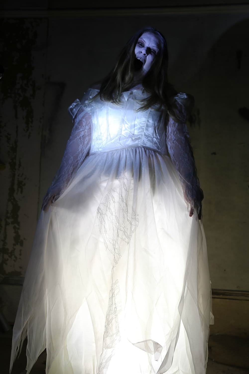 スケアリー・アトラクションの画像