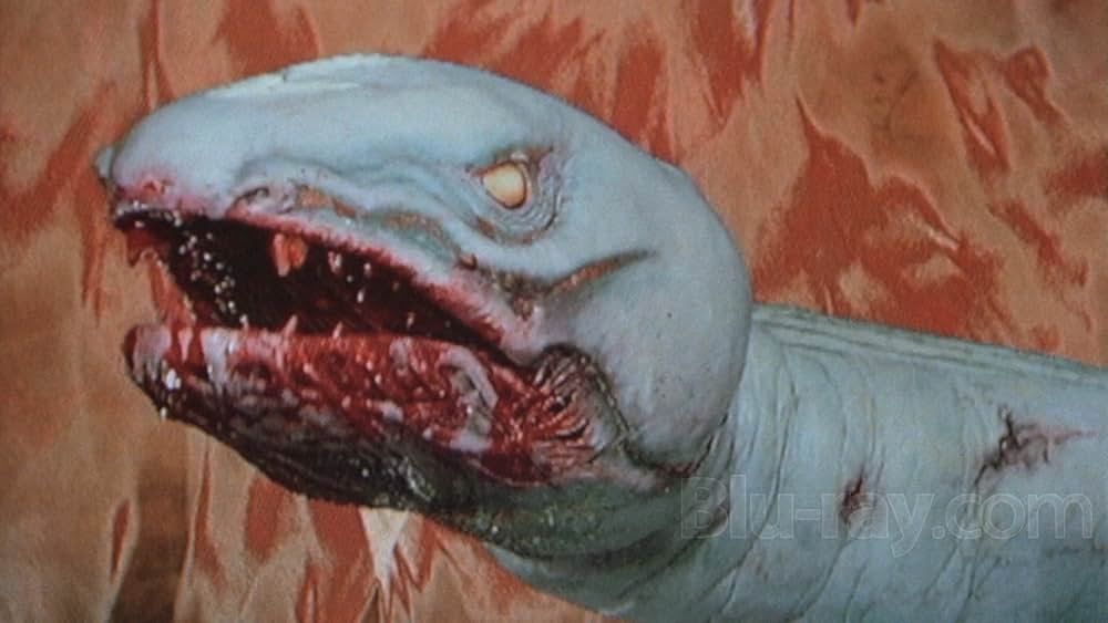 白蛇伝説の画像