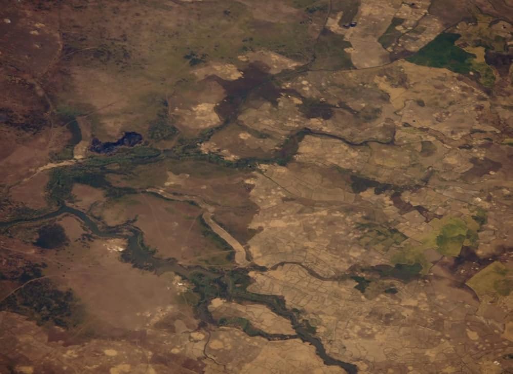 Red Island（英題）の画像