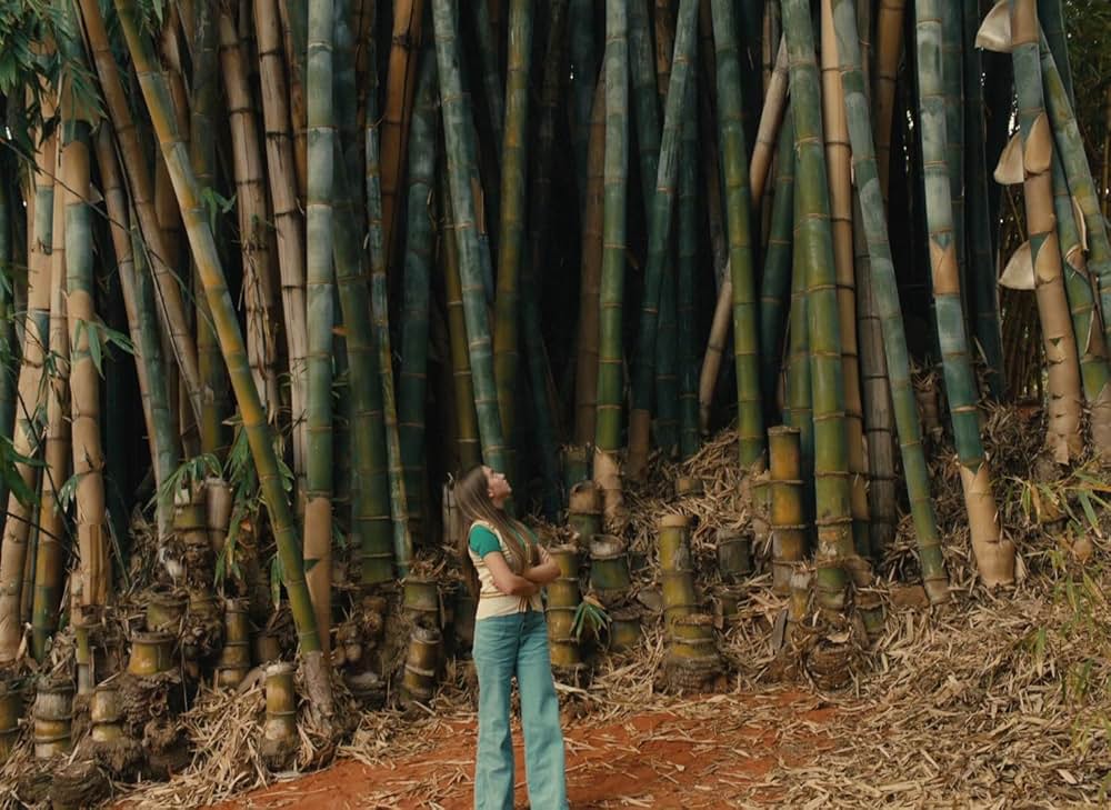 Red Island（英題）の画像