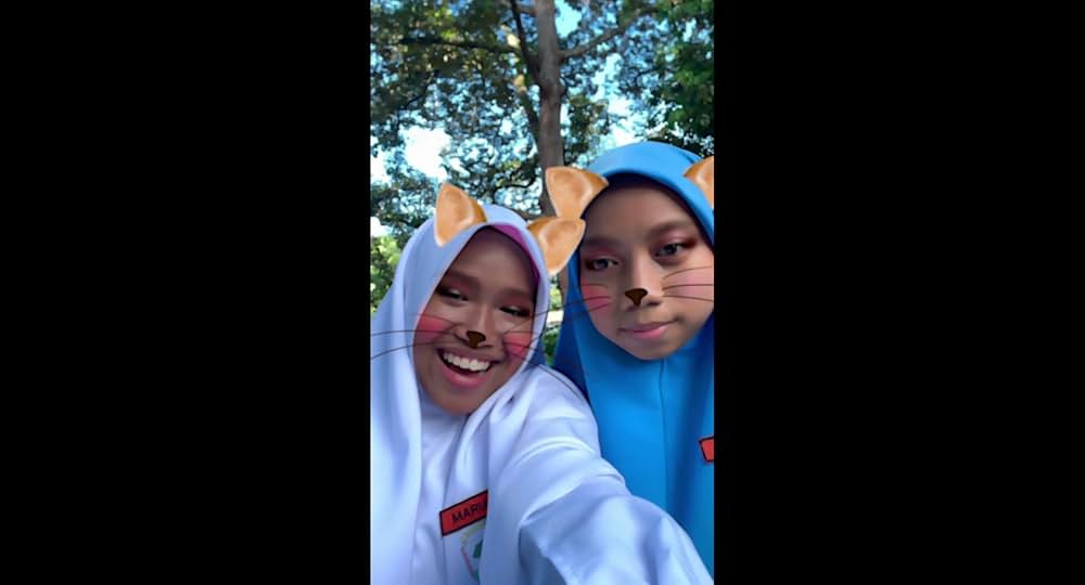 タイガー・ストライプスの画像