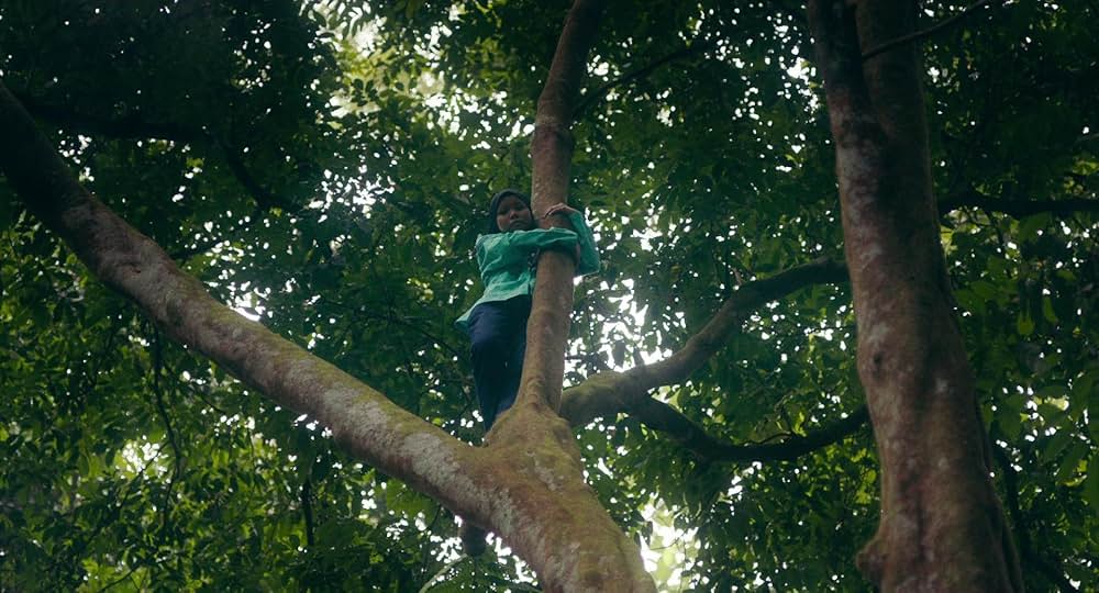 タイガー・ストライプスの画像